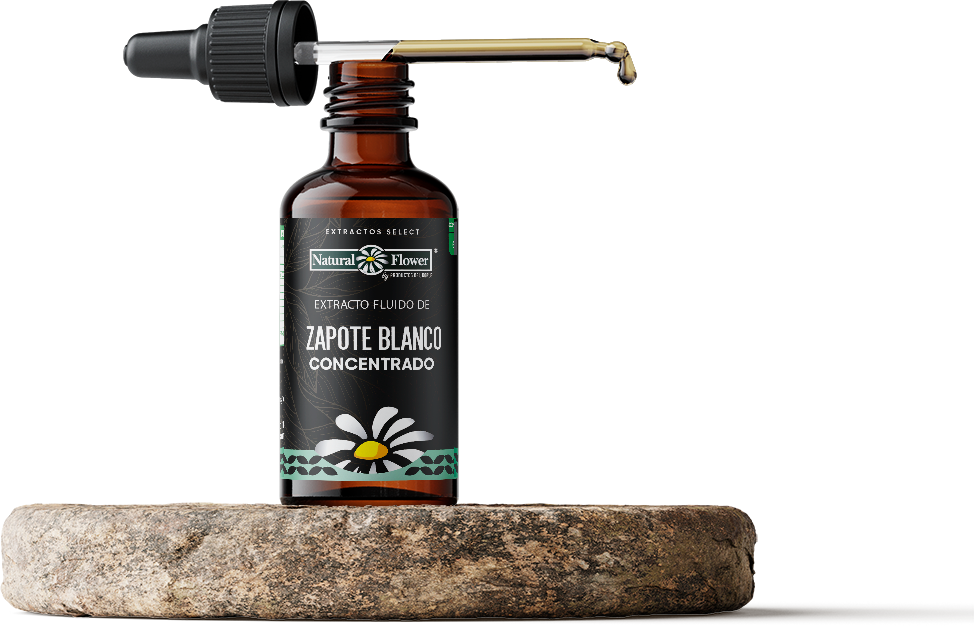 Extracto Select Zapote Blanco Concentrado