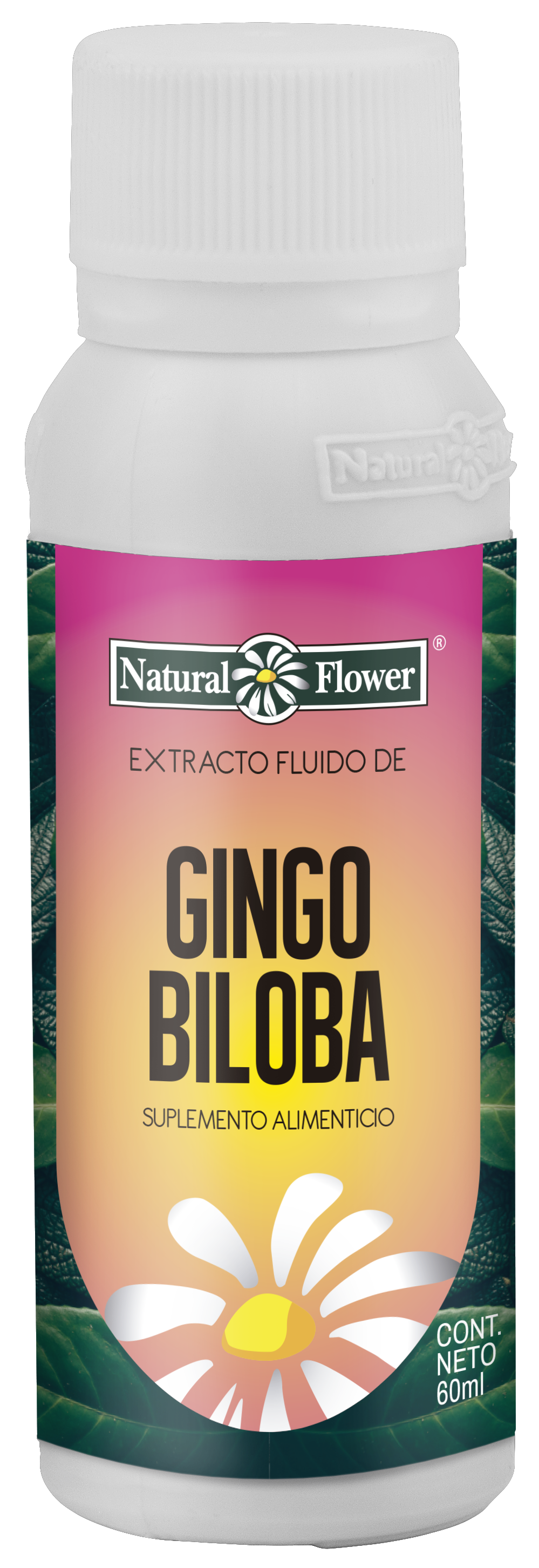 Extracto de Ginkgo Biloba