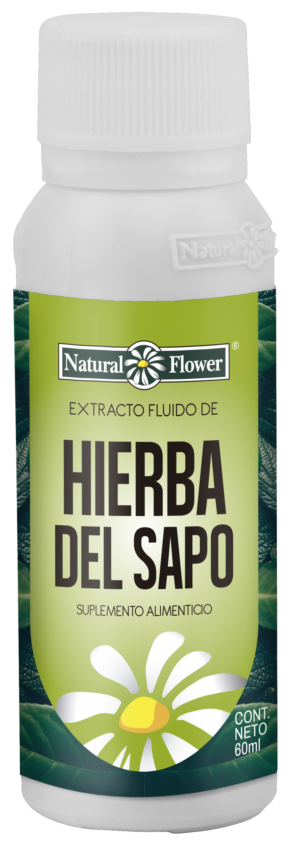 Extracto de Hierba del Sapo