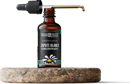 Extracto Select Zapote Blanco Concentrado