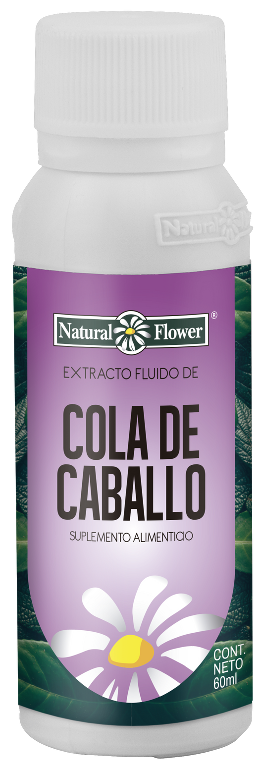 Extracto de Cola de Caballo