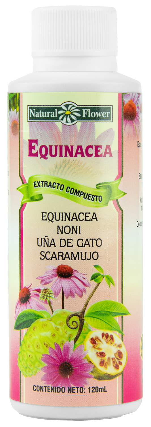 Extracto Compuesto de Equinácea