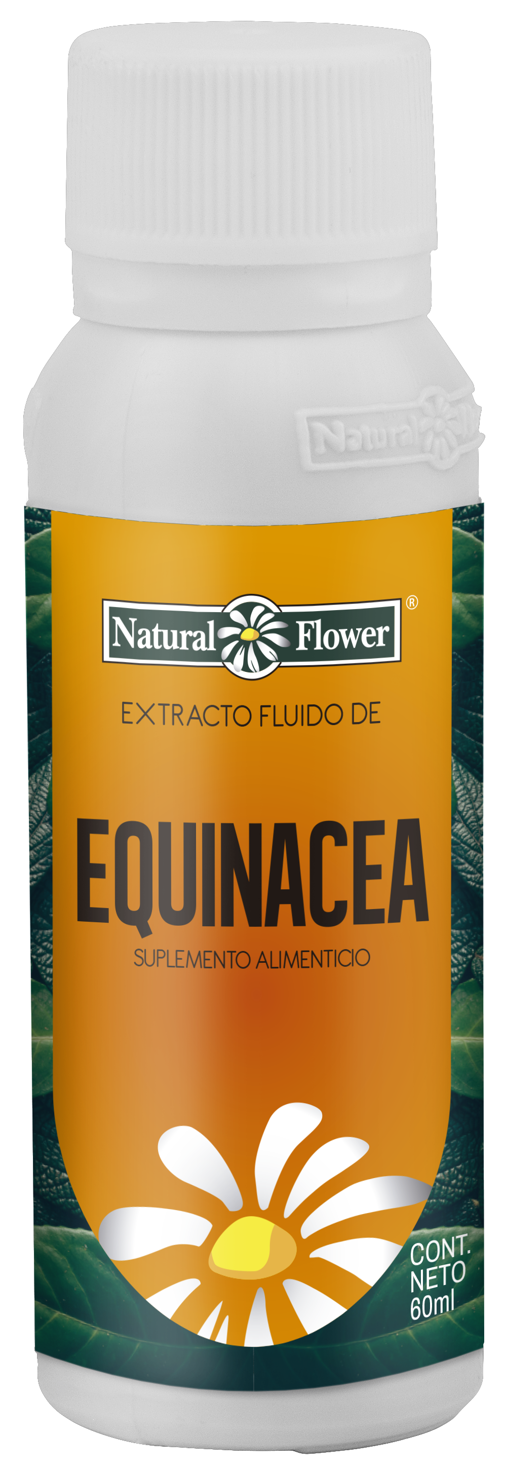 Extracto de Equinácea