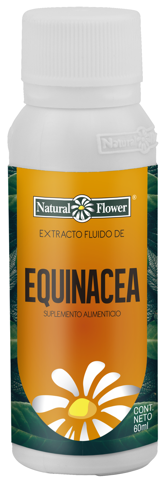 Extracto de Equinácea
