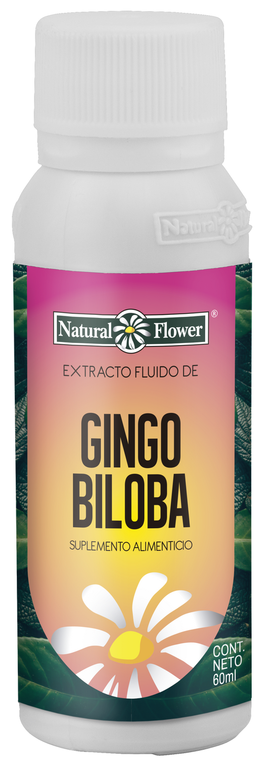 Extracto de Ginkgo Biloba