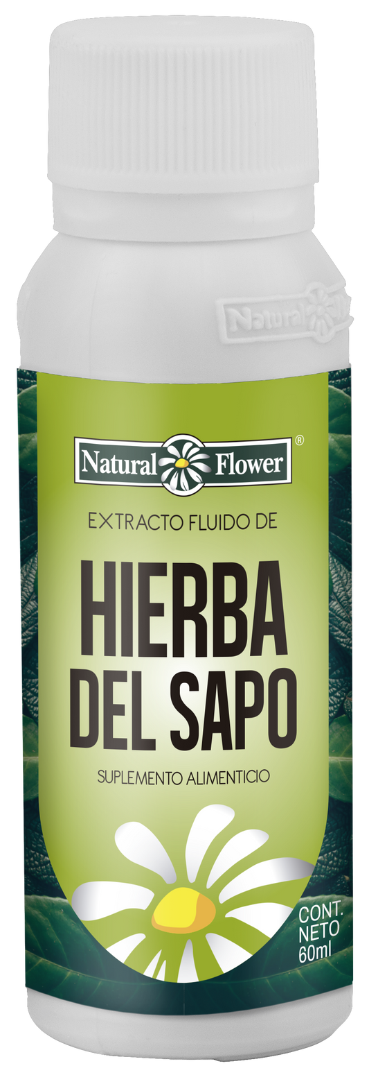 Extracto de Hierba del Sapo