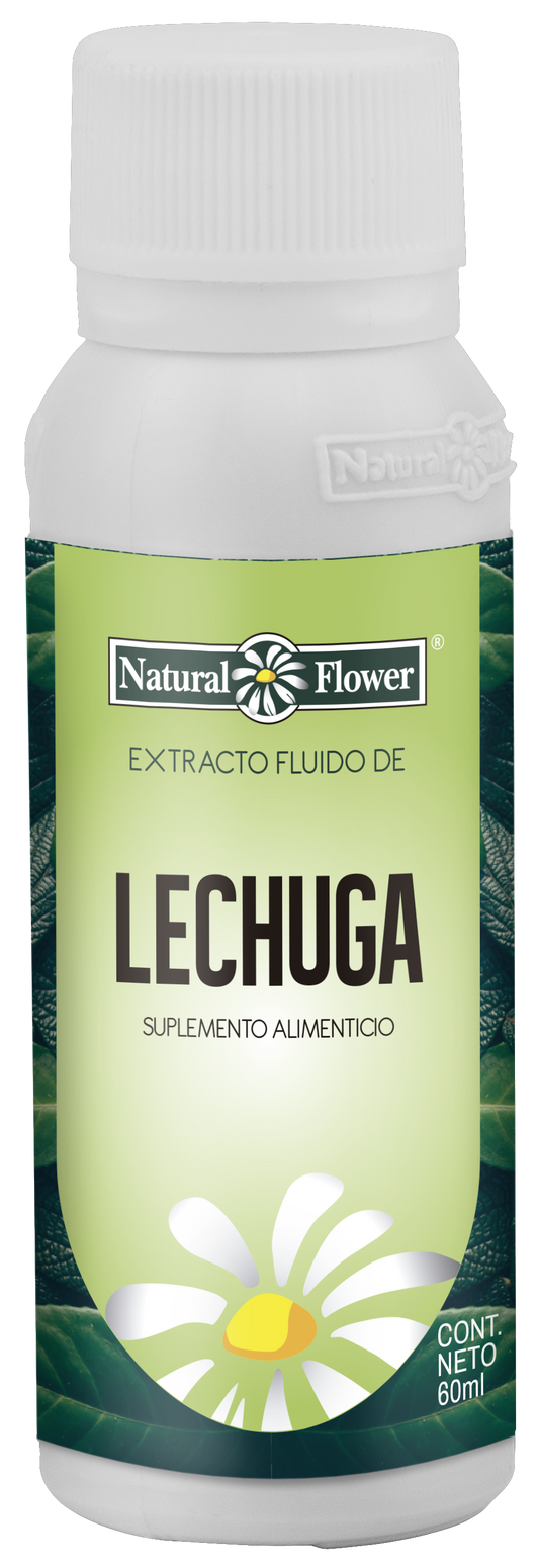 Extracto de Lechuga