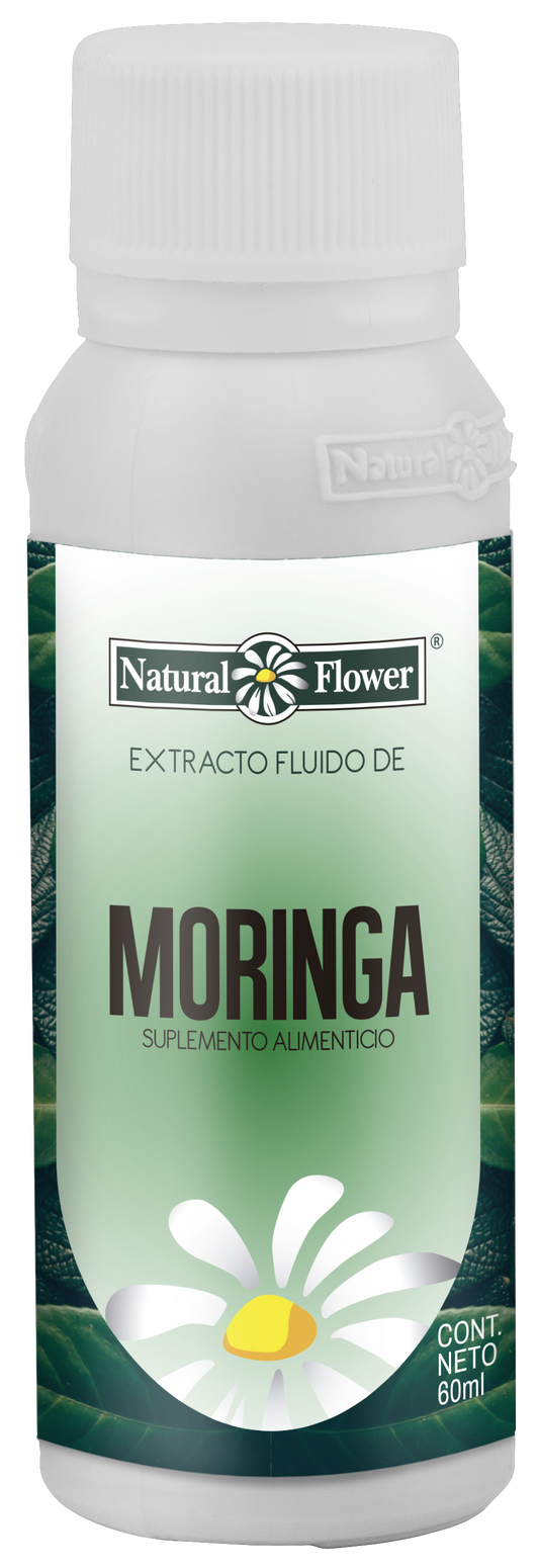 Extracto Fluido de Moringa