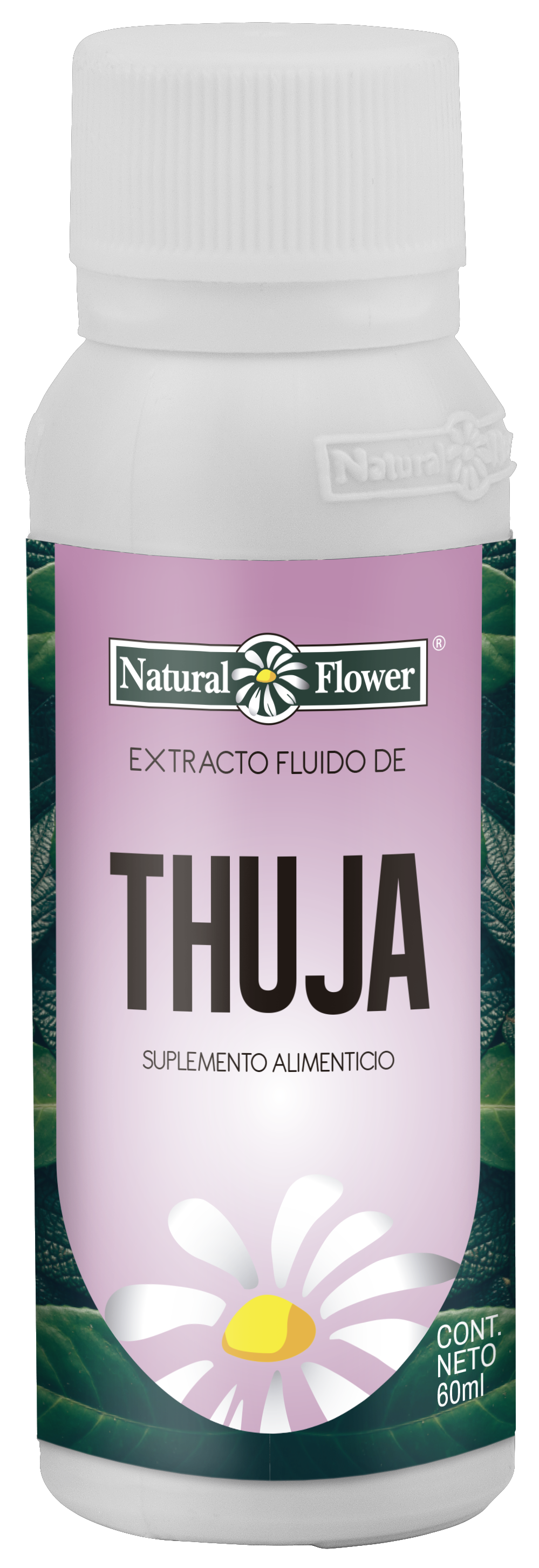 Extracto de Thuja