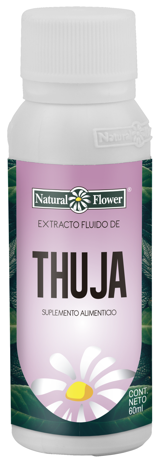 Extracto de Thuja