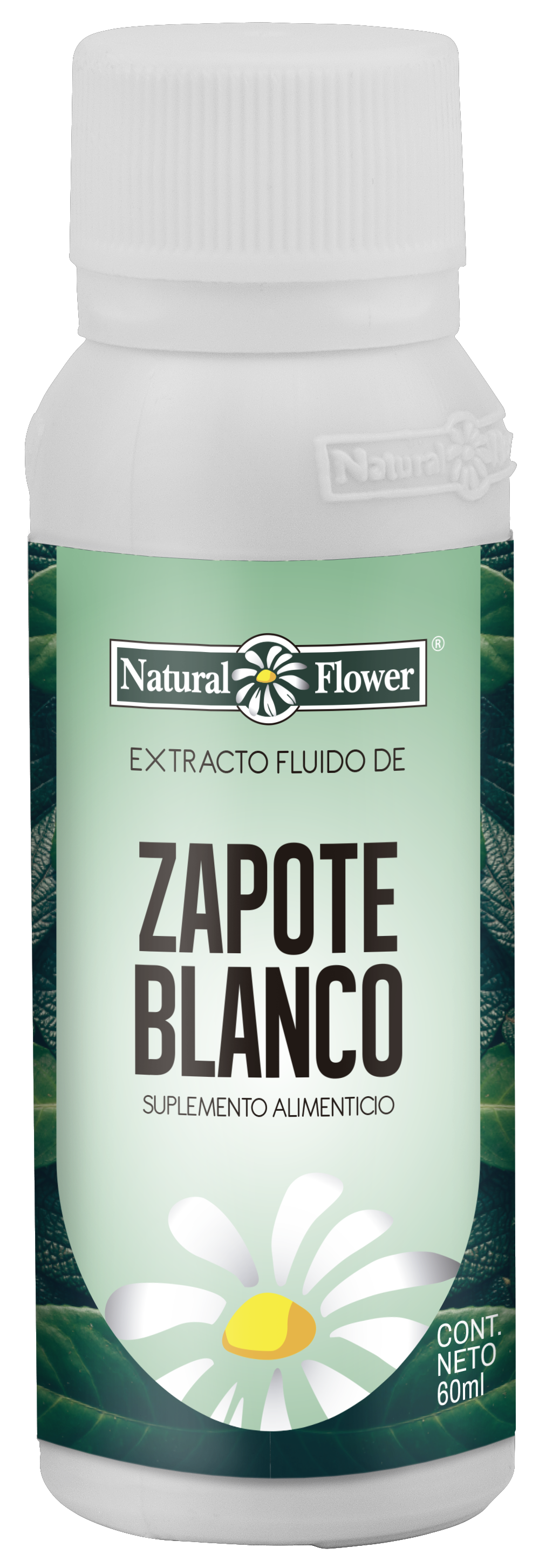 Extracto de Zapote Blanco